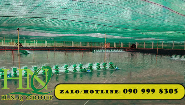 Cáp bọc nhựa căng lưới lan cho ao nuôi tôm